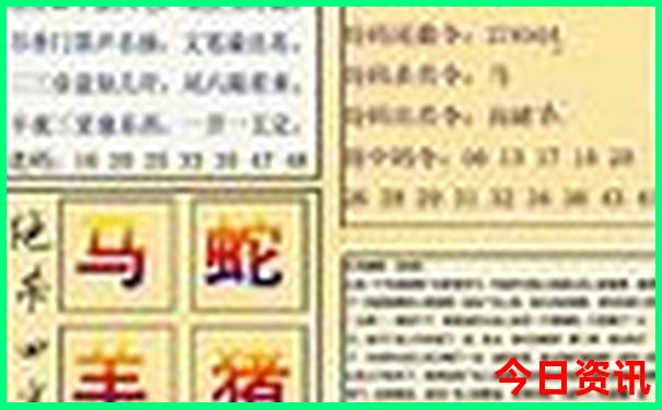 新澳门彩出码综合走势图表